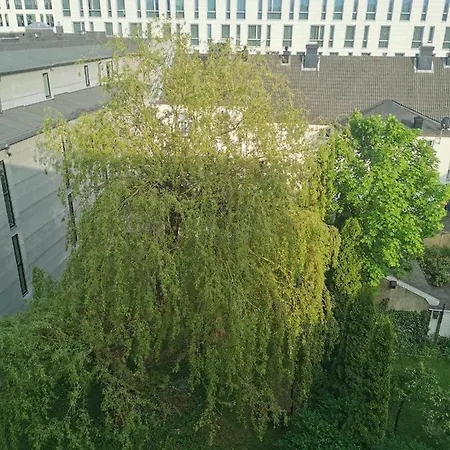 아파트 Kongensgate, Koselig Liten Leilighet, 5 Min Unna Sentrum *